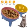 Raised Tilted Elevated Dog Food Bowl Pet Backflow Prevention Water Dish Feeding Bowl for Small Dogs