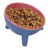 Raised Tilted Elevated Dog Food Bowl Pet Backflow Prevention Water Dish Feeding Bowl for Small Dogs