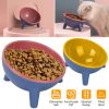 Raised Tilted Elevated Dog Food Bowl Pet Backflow Prevention Water Dish Feeding Bowl for Small Dogs