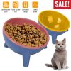 Raised Tilted Elevated Dog Food Bowl Pet Backflow Prevention Water Dish Feeding Bowl for Small Dogs